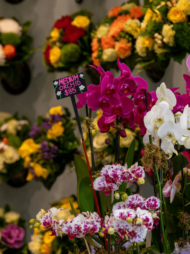 A vibrant flower shop showcasing a variety of flowers, located near The Henry Residences in Upper West Side.