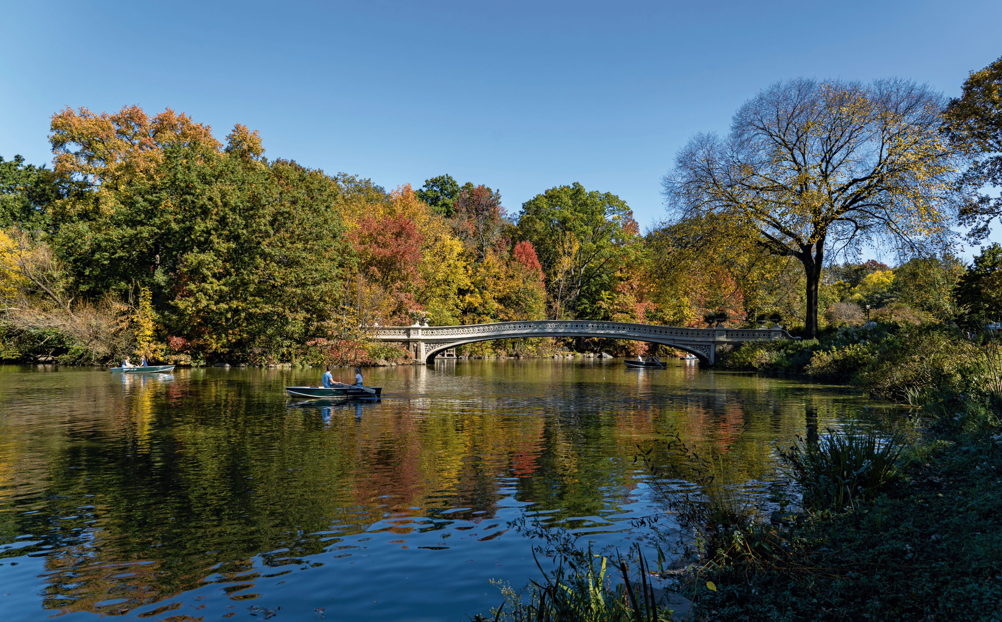 A picturesque view of Bow Bridge over The Lake in Central Park, located near The Henry Residences in the Upper West Side.