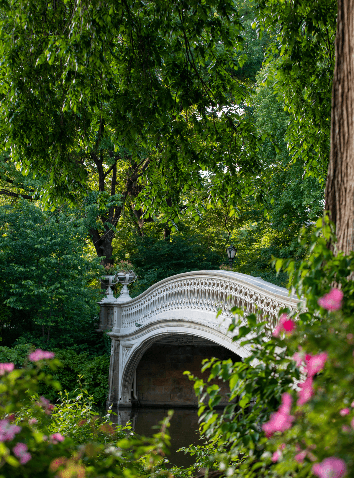 A charming bridge in Central Park, close to The Henry Residences on the Upper West Side in Manhattan.