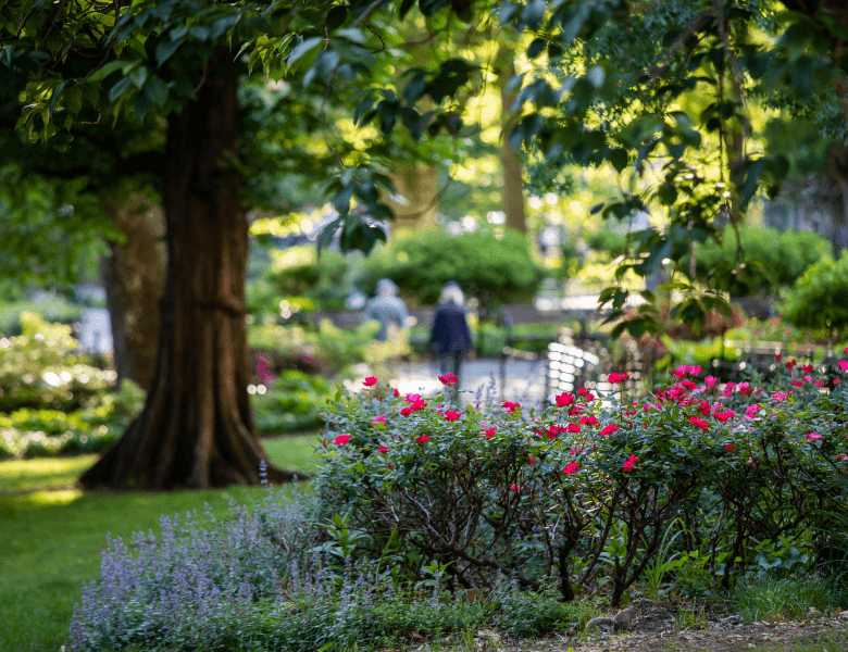 People walking through park with trees and flowers near The Henry Residences by Naftali Group in the Upper West Side.