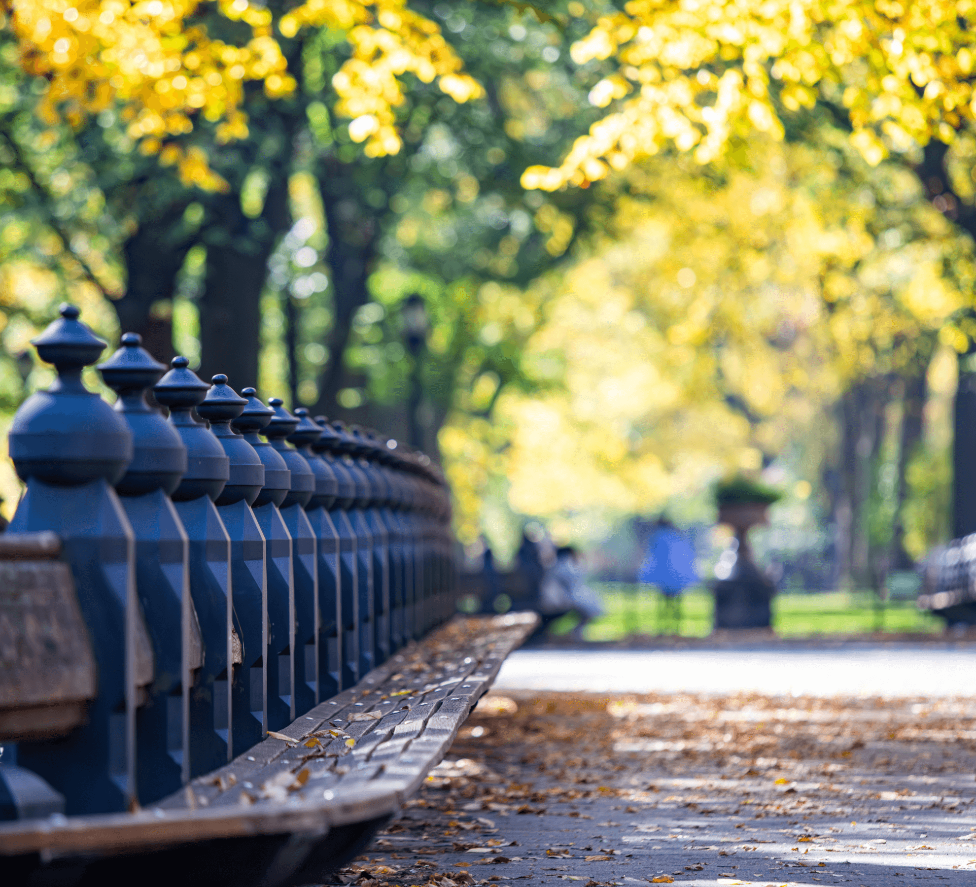 Row of benches in a park near The Henry Residences, providing a serene spot for relaxation in the Upper West Side.